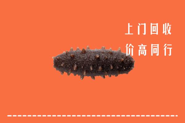 定陶区回收海参