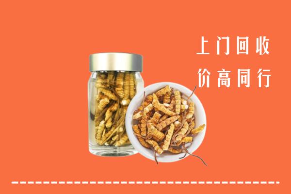 定陶区回收冬虫夏草