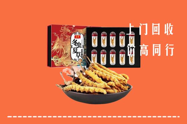 定陶区回收虫草
